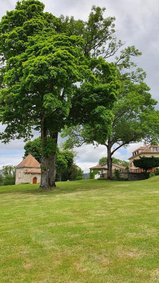 Domaine De Montvianeix Bed & Breakfast Saint-Victor-Montvianeix Exterior foto