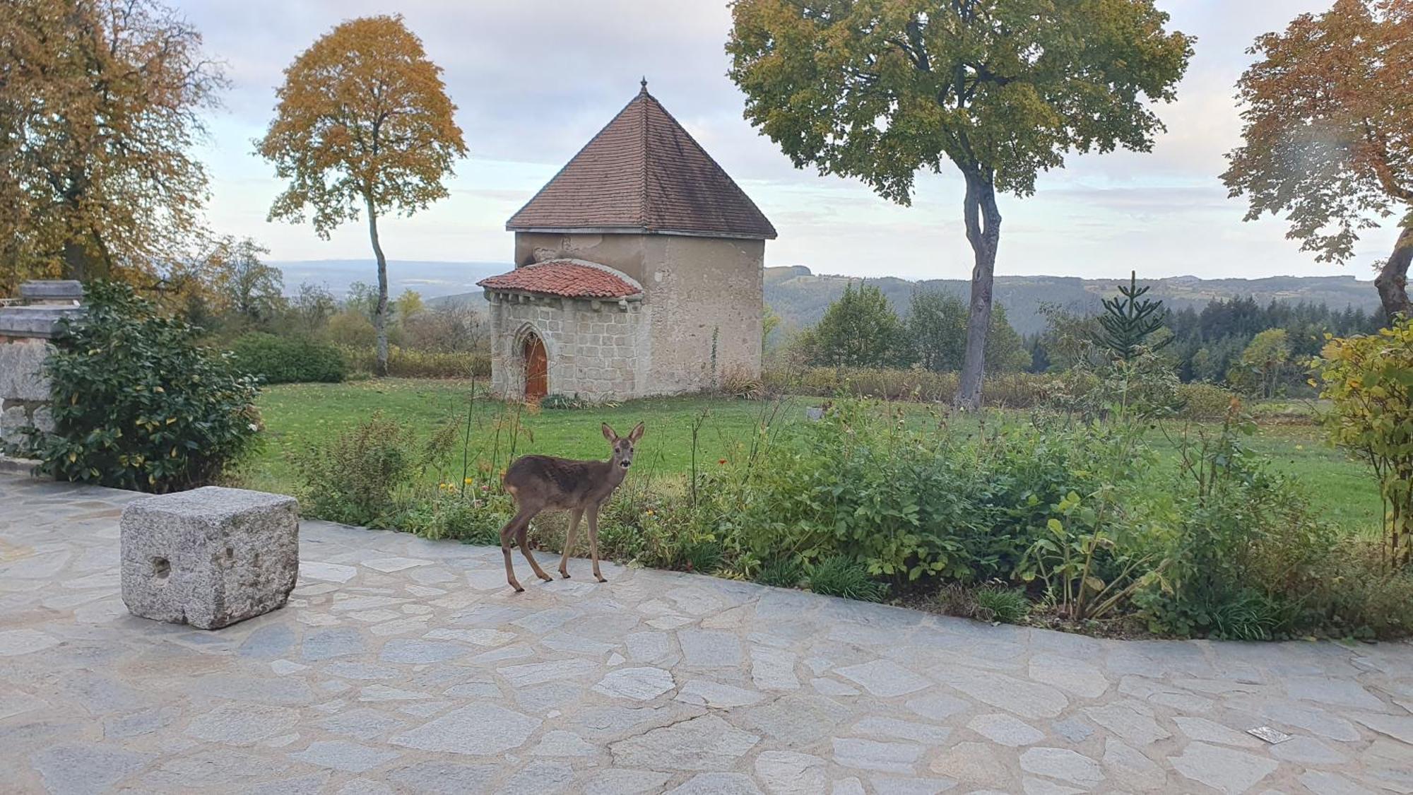 Domaine De Montvianeix Bed & Breakfast Saint-Victor-Montvianeix Exterior foto
